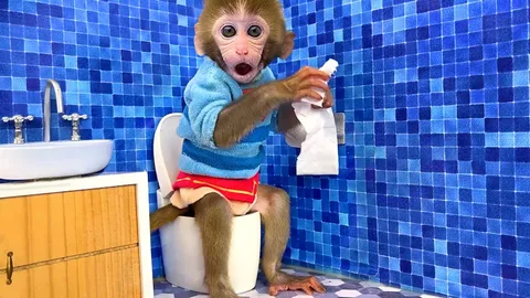 Monkey Baby Bon Bon in the Room Cleaning Challenge and goes to the toilet